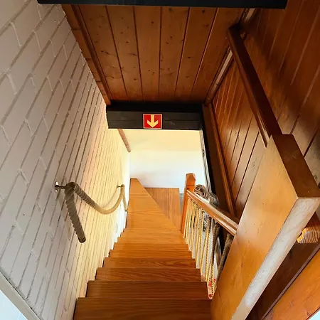 Eulennest *